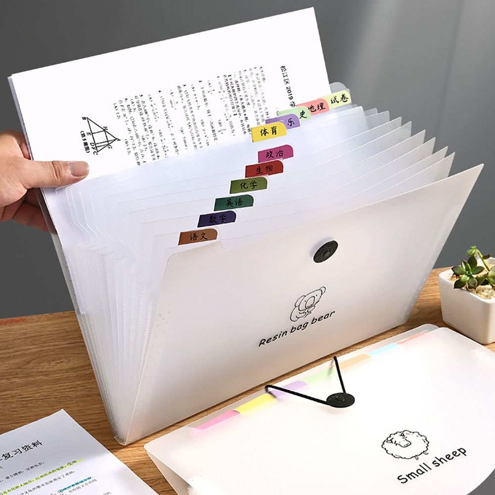 Cartoon Waterproof A4 File Fol - Document Organizer Folder recensione e prezzo