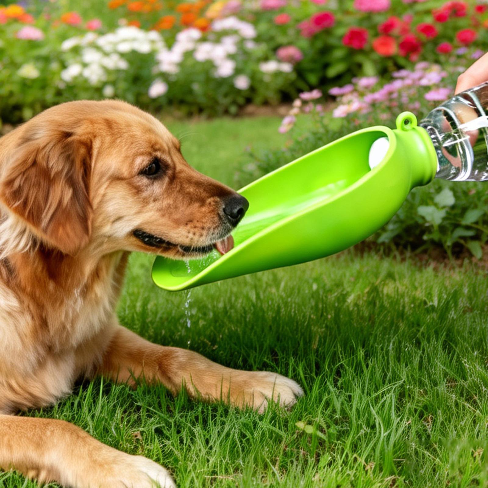 Dog Travel Water Bowl Silicone - Travel Accessories Dog recensione e prezzo