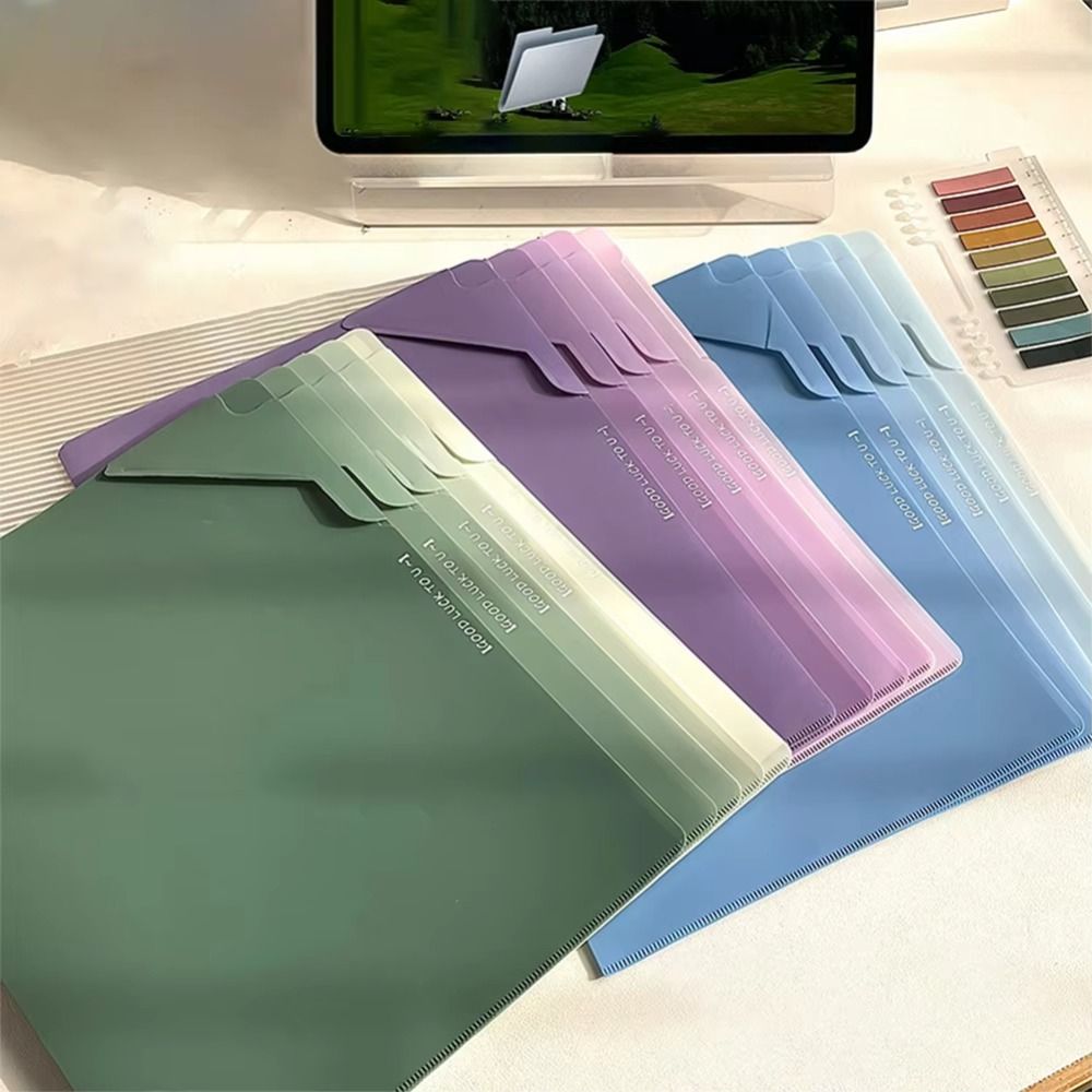 Gradient Large Capacity File F - Document Organizer Folder recensione e prezzo