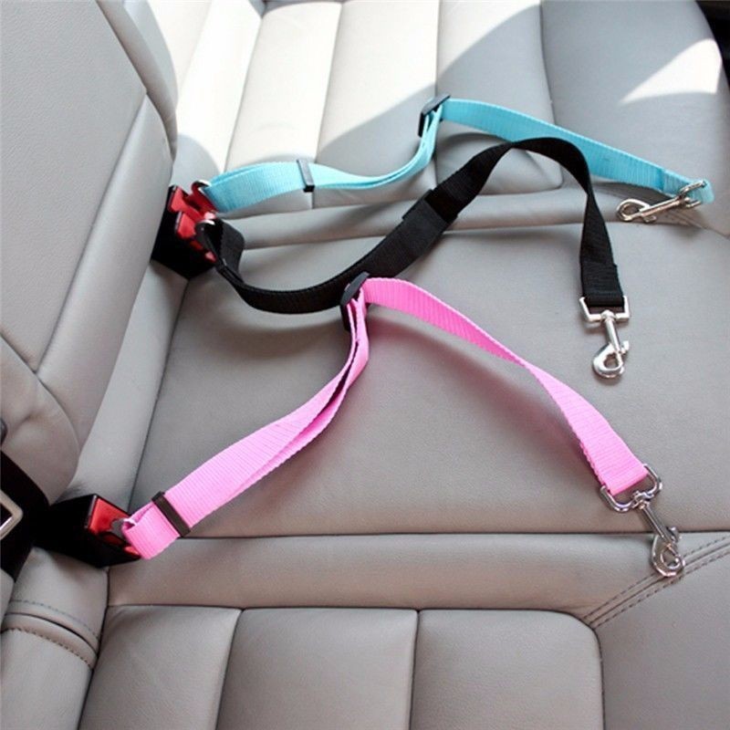 Cat Car Seat Belt Dog Accessor - Travel Accessories Dog recensione e prezzo