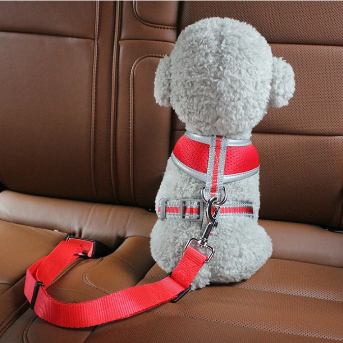 Cat Car Seat Belt Dog Accessor - Travel Accessories Dog recensione e prezzo