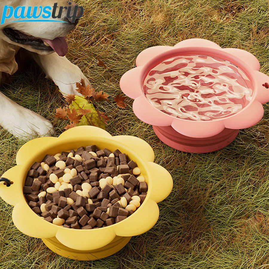 350ml Collapsible Dog Bowl Por - Travel Accessories Dog recensione e prezzo