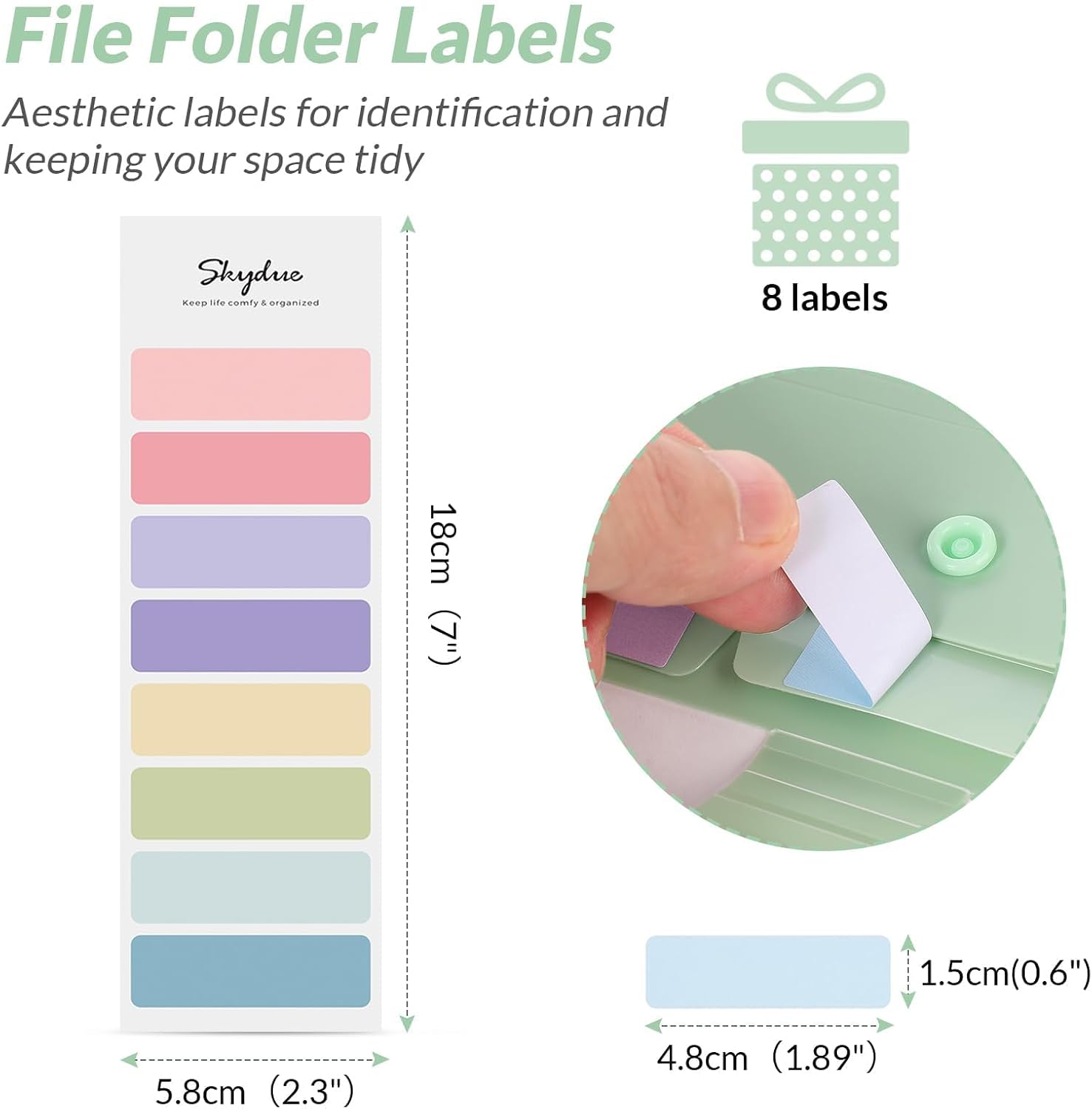 Expanding File Folder with 5 P - Document Organizer Folder recensione e prezzo